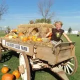 Mulberry Lane Farm photo