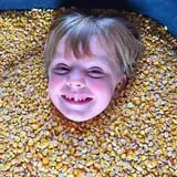 Mulberry Lane Farm photo