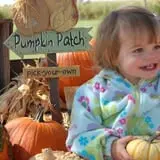 Mulberry Lane Farm photo