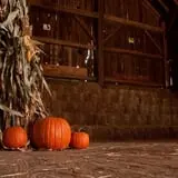 Mulberry Lane Farm photo