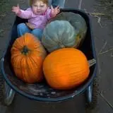 Mulberry Lane Farm photo