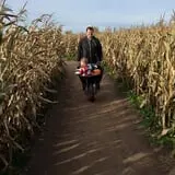Mulberry Lane Farm photo
