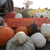 Mulberry Lane Farm photo