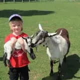 Mulberry Lane Farm photo
