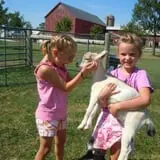 Mulberry Lane Farm photo