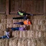 Mulberry Lane Farm photo