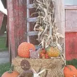 Mulberry Lane Farm photo