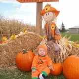 Mulberry Lane Farm photo