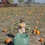 Mulberry Lane Farm photo