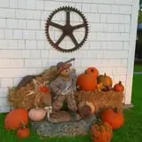 Mulberry Lane Farm photo