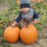 Mulberry Lane Farm photo