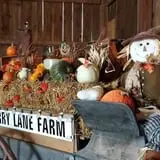 Mulberry Lane Farm photo