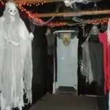 Hall's Haunted Halls photo