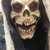 Hall's Haunted Halls photo