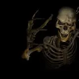 Hall's Haunted Halls photo