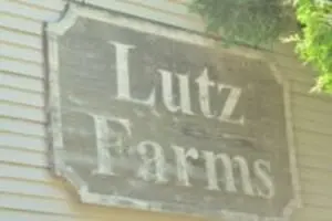 Calvin Lutz Farms