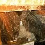 Haunted River Trail at Little Bear Bottoms photo