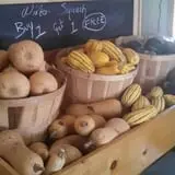 Chipman's Farm photo