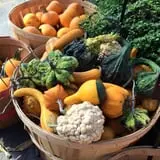 Chipman's Farm photo