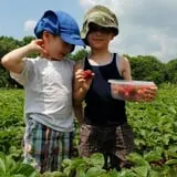 Chipman's Farm photo
