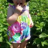 Chipman's Farm photo