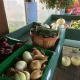 Chipman's Farm photo