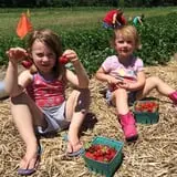 Chipman's Farm photo