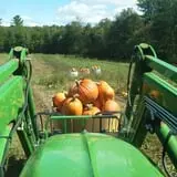 Chipman's Farm photo
