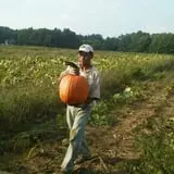 Chipman's Farm photo