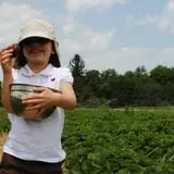 Chipman's Farm photo