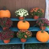 Chipman's Farm photo