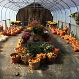 Chipman's Farm photo