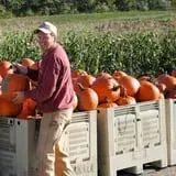 Chipman's Farm photo