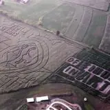 2005 Corn Maze