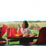 Corn Maze