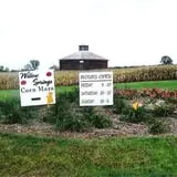 Corn Maze