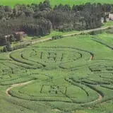 2002 Corn Maze