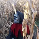 Haunted Maze