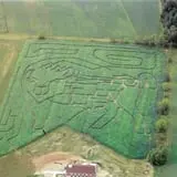 2004 Corn Maze