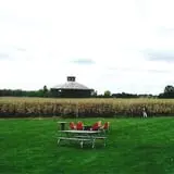Corn Maze