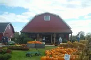Bennett's Orchard
