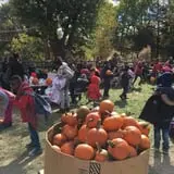 Apple Ridge Orchards photo