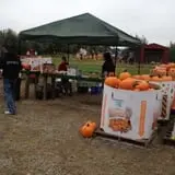 Apple Ridge Orchards photo