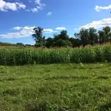 Apple Ridge Orchards photo