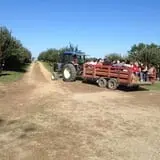 Apple Ridge Orchards photo