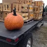 Apple Ridge Orchards photo