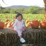 Apple Ridge Orchards photo