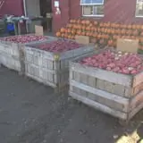Apple Ridge Orchards photo