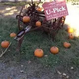 Apple Ridge Orchards photo