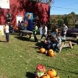Apple Ridge Orchards photo